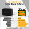 12V 100Ah LiFePO4 Lithium Batterie mit Untertemperaturschutz