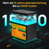 12V 100Ah LiFePO4 Lithium Batterie mit Untertemperaturschutz
