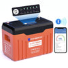 12V 100Ah LiFePO4 Lithium Batterie mit Bluetooth und WiFi,Untertemperaturschutz