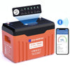 12V 100Ah LiFePO4 Lithium Batterij met Bluetooth en WiFi, Onderkoelingsbescherming