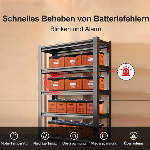 12V 100Ah LiFePO4 Lithium Batterij met Bluetooth en WiFi, Onderkoelingsbescherming