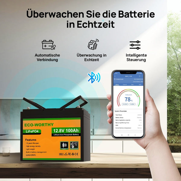 12V 100Ah LiFePO4 Lithium batterie mit Bluetooth und Untertemperaturschutz
