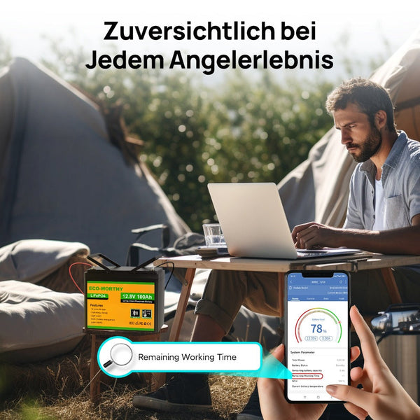 12V 100Ah LiFePO4 Lithium batterie mit Bluetooth und Untertemperaturschutz