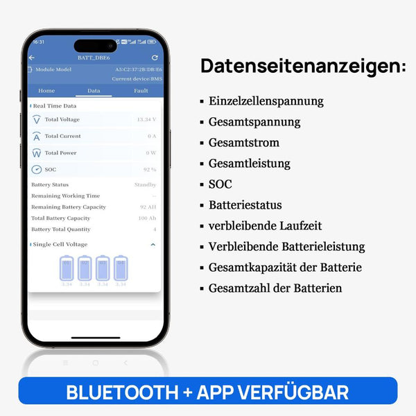 12V 100Ah LiFePO4 Lithium batterie mit Bluetooth und Untertemperaturschutz