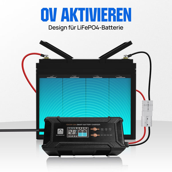 20A 12V/24V intelligentes Batterieladegerät mit LCD-Display für die meisten Batterien
