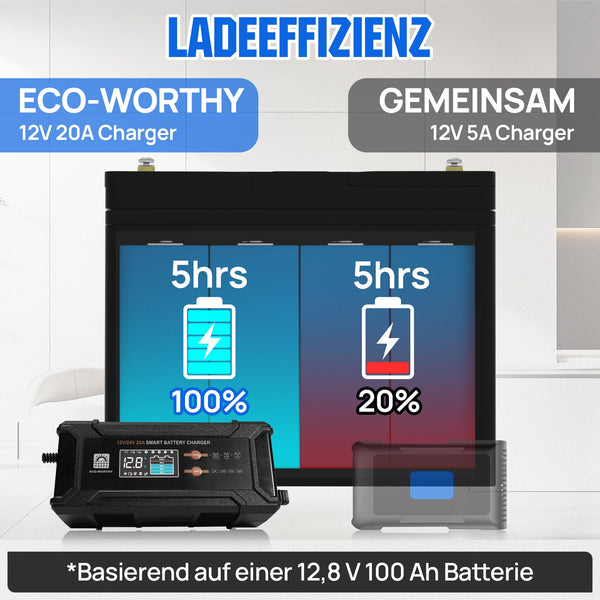 20A 12V/24V intelligentes Batterieladegerät mit LCD-Display für die meisten Batterien