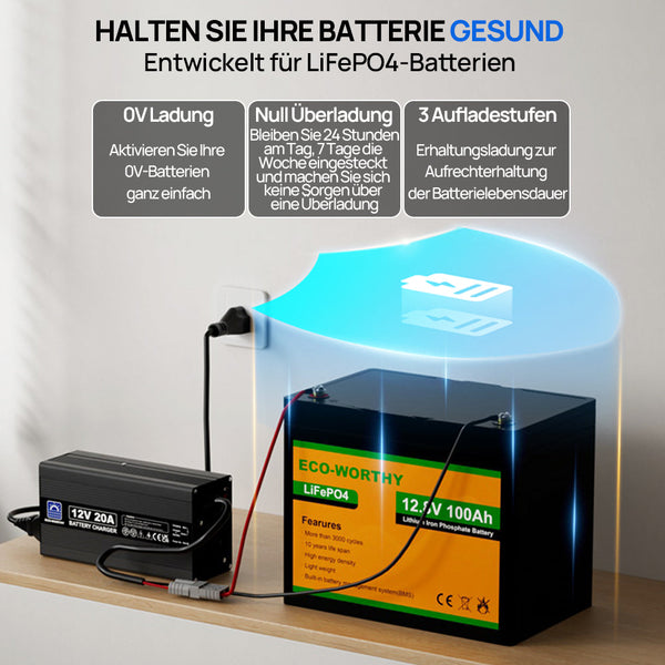 20A 12V Smart Batterie-Ladegerät für Lithium (LiFePO4) Batterien
