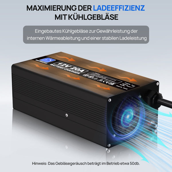 20A 12V Smart Batterie-Ladegerät für Lithium (LiFePO4) Batterien