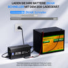 20A 12V Smart Batterie-Ladegerät für Lithium (LiFePO4) Batterien