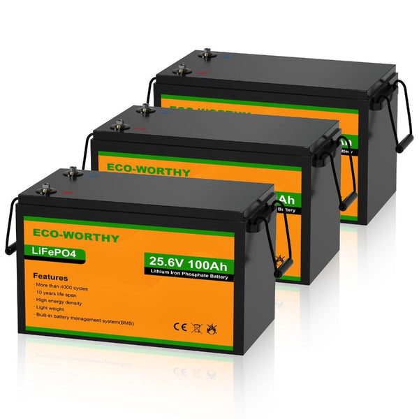 24V 100Ah LiFePO4 Lithium Batterie