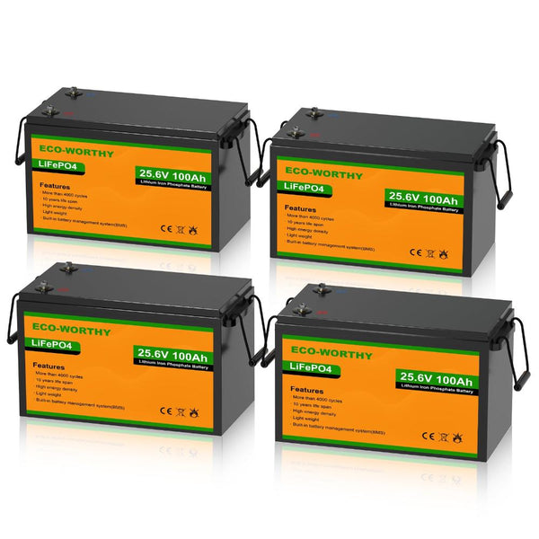 24V 100Ah LiFePO4 Lithium Batterie