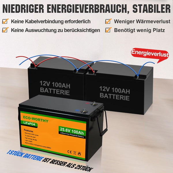 24V 100Ah LiFePO4 Lithium Batterie