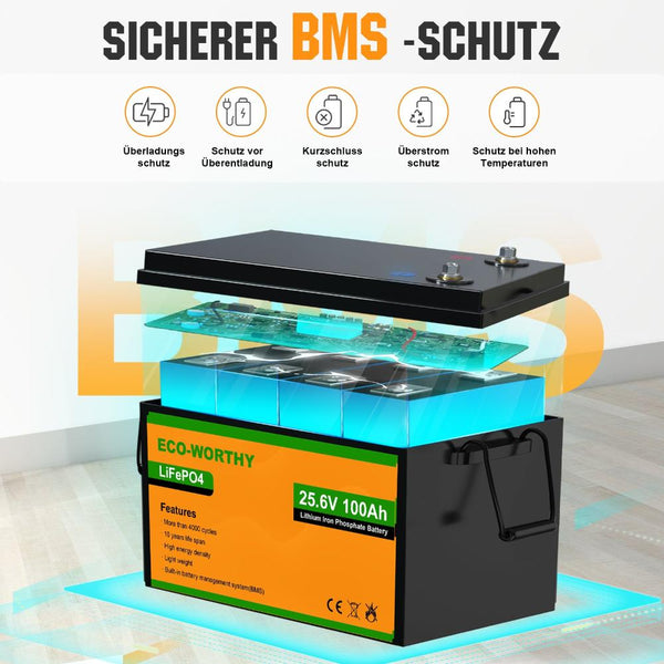 24V 100Ah LiFePO4 Lithium Batterie