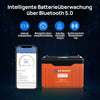 24V 100Ah LiFePO4 Lithiumbatterij met Bluetooth en ondertemperatuurbescherming