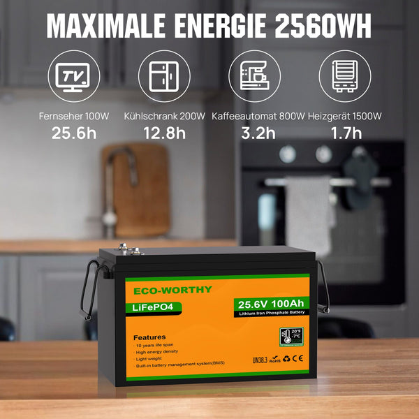 24V 100Ah LiFePO4 Lithiumbatterij met ondertemperatuurbescherming