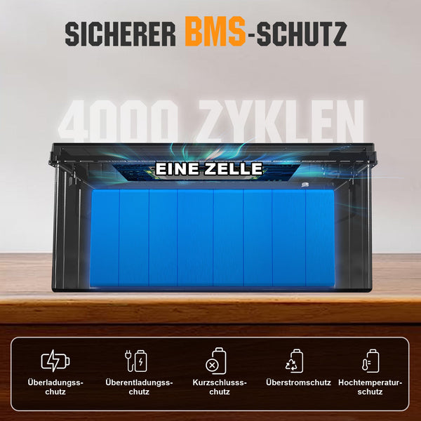 24V 100Ah LiFePO4 Lithiumbatterij met ondertemperatuurbescherming