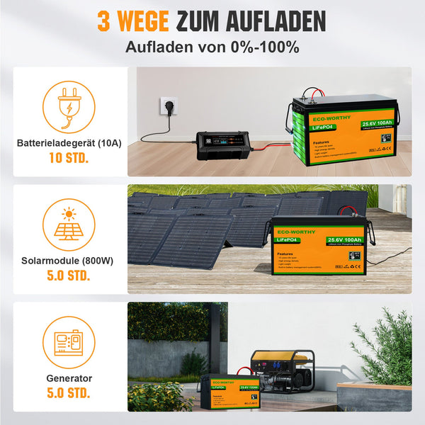 24V 100Ah LiFePO4 Lithiumbatterij met ondertemperatuurbescherming