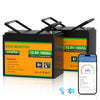 12V 100Ah LiFePO4 Lithium batterie mit Bluetooth und Untertemperaturschutz