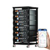 ECO-WORTHY 48V (51,2V) 100Ah Server-Rack-Batterij | IEC 62619-certificering | Bluetooth en WLAN