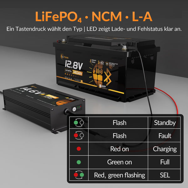 Lithink 14.6V 10A Waterdichte Oplader – voor LiFePO₄, NCM en loodaccu's