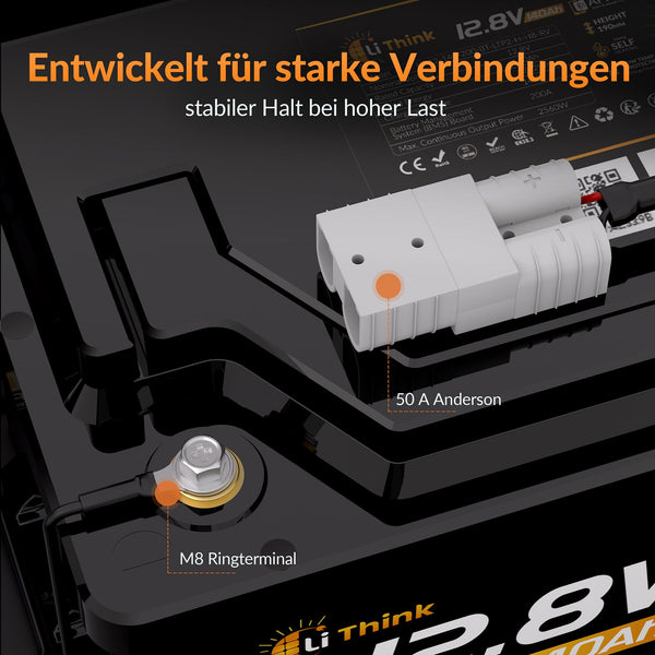 Lithink 14.6V 10A Waterdichte Oplader – voor LiFePO₄, NCM en loodaccu's