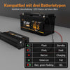 Lithink 14.6V 20A Waterdichte Snellader – voor LiFePO₄, NCM en Loodaccu's