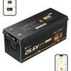 Lithink 24V 100Ah LiFePO4-accu met Bluetooth & zelfverwarming, 150A BMS – voor trollingmotor, camper & zonne-energiesysteem