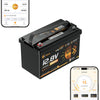 Lithink 12V 100Ah TM LiFePO4 Batterie mit Bluetooth