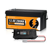 12V 280Ah LiFePO4 Lithium Batterie mit Untertemperaturschutz