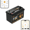 12 Volt LiFePO4 Accu's