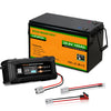 24V 100Ah LiFePO4 Lithiumbatterij met ondertemperatuurbescherming