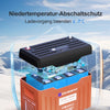 12V 100Ah LiFePO4 Lithium Batterie mit Bluetooth und WiFi,Untertemperaturschutz