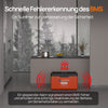 12V 300Ah LiFePO4 Lithiumbatterij met Bluetooth en ondertemperatuurbescherming