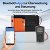 12V 300Ah LiFePO4 Lithiumbatterij met Bluetooth en ondertemperatuurbescherming