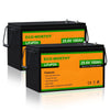 24V 100Ah LiFePO4 Lithium Batterie