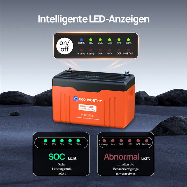 24V 100Ah LiFePO4 Lithiumbatterij met Bluetooth en ondertemperatuurbescherming
