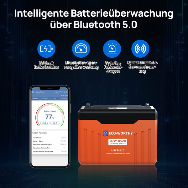 24V 100Ah LiFePO4 Lithiumbatterij met Bluetooth en ondertemperatuurbescherming
