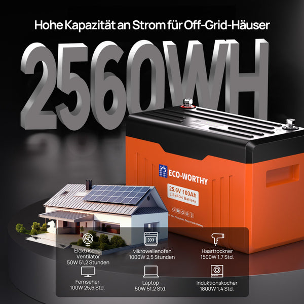 24V 100Ah LiFePO4 Lithiumbatterij met Bluetooth en ondertemperatuurbescherming