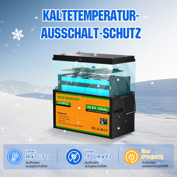 24V 100Ah LiFePO4 Lithiumbatterij met ondertemperatuurbescherming