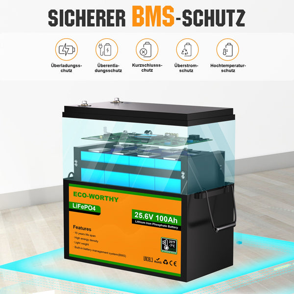 24V 100Ah LiFePO4 Lithiumbatterij met ondertemperatuurbescherming