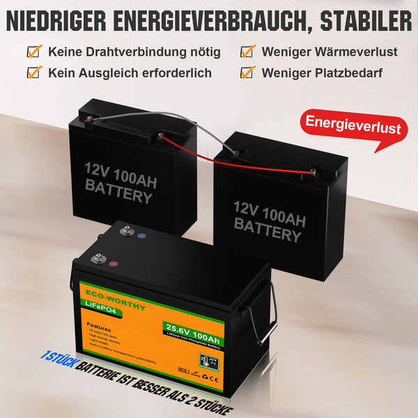 24V 100Ah LiFePO4 Lithiumbatterij met ondertemperatuurbescherming