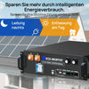 ECO-WORTHY 48V (51,2V) 100Ah Server-Rack-Batterij | IEC 62619-certificering | Bluetooth en WLAN