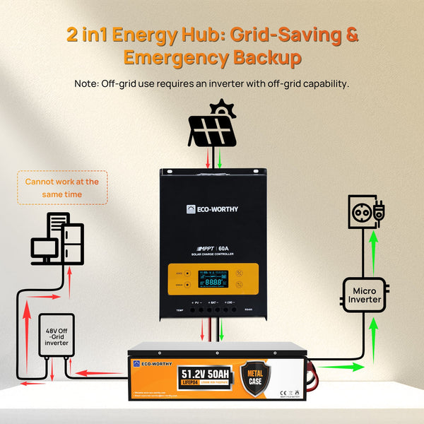 ECO-WORTHY Balkonkraftwerk Opslag 48V 50AH Batterij met 60A MPPT 2,56KWh