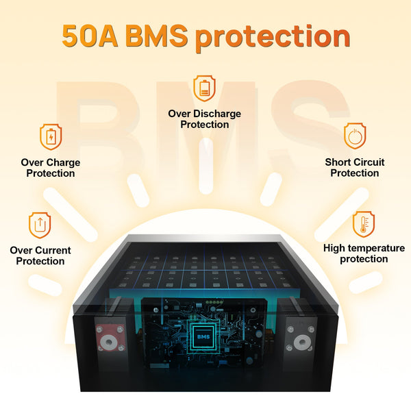 ECO-WORTHY Balkonkraftwerk Opslag 48V 50AH Batterij met 60A MPPT 2,56KWh