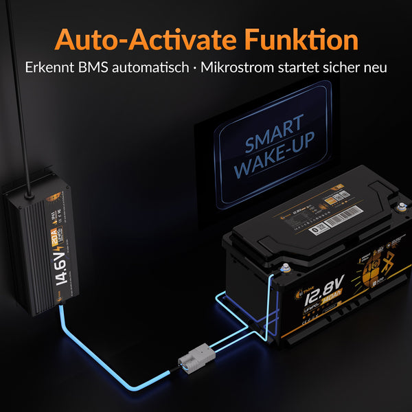 Lithink 14.6V 20A Waterdichte Snellader – voor LiFePO₄, NCM en Loodaccu's
