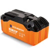 12V 20Ah tragbarer LiFePO4 Lithium Batterie
