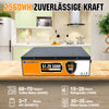 48V 50Ah LiFePO4 Lithium Batterie